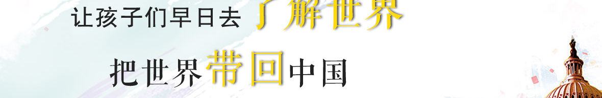 洛壹網(wǎng)絡網(wǎng)站案例