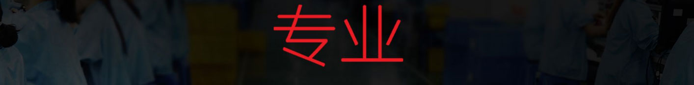 洛壹網(wǎng)絡(luò)網(wǎng)站案例