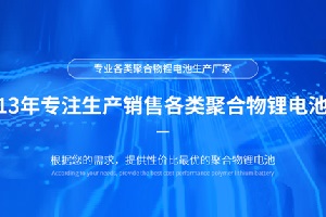 簽約：深圳市庭英科技有限公司與洛壹網(wǎng)絡簽約官網(wǎng)制作項目